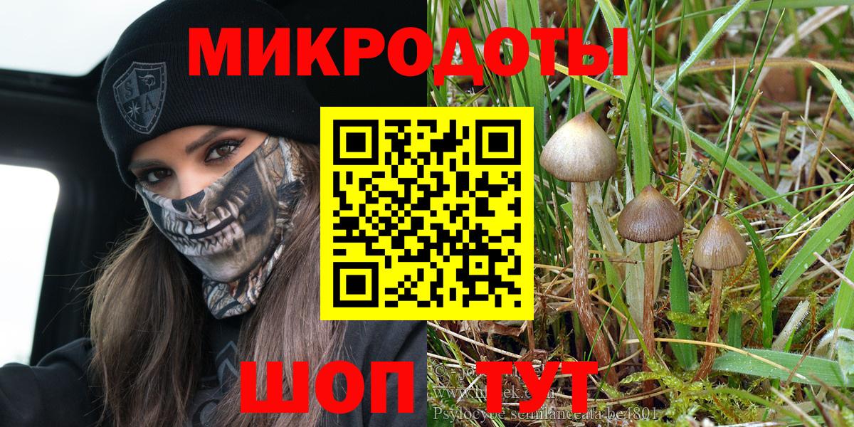 Галлюциногенные грибы MAGIC MUSHROOMS  Галлюциногенные грибы MAGIC MUSHROOMS  продажа наркотиков  Нурлат  Вход с VPN 